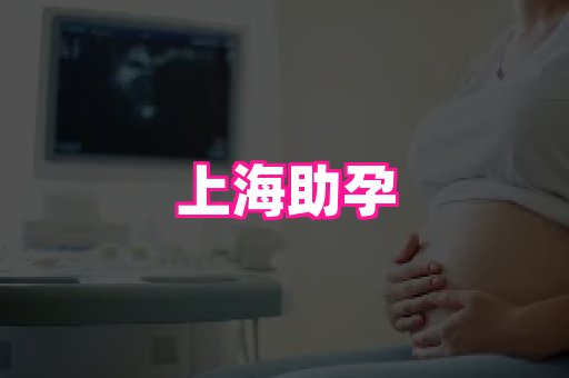 生殖助孕网站 2