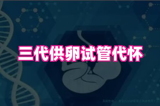 生殖助孕网站 4